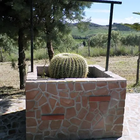 Farm stay Agriturismo Colle Del Sindaco
