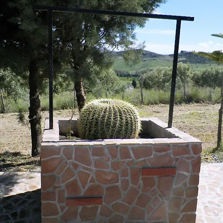 Colle Del Sindaco Petrizia