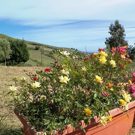 Agriturismo Colle Del Sindaco Farm stay Petrizia