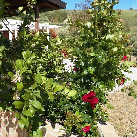 Agriturismo Colle Del Sindaco *