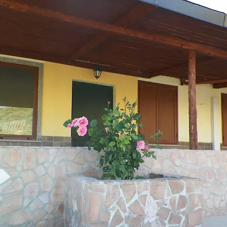 Farm stay Agriturismo Colle Del Sindaco