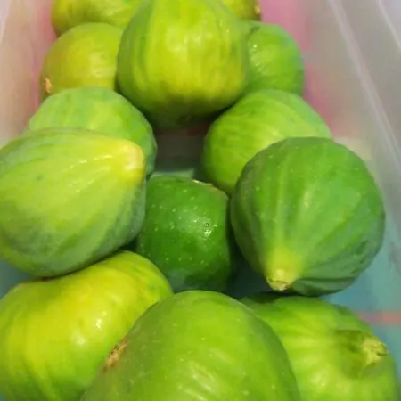 Farm stay Agriturismo Colle Del Sindaco *