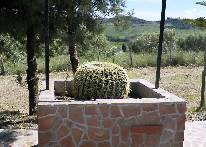 Colle Del Sindaco Petrizia