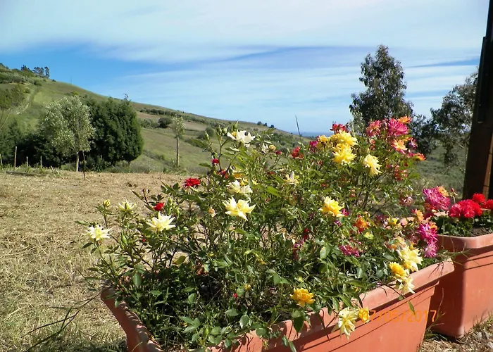 Colle Del Sindaco Alojamento de Turismo Rural Petrizia